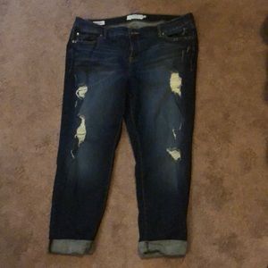 Jeans Torrid